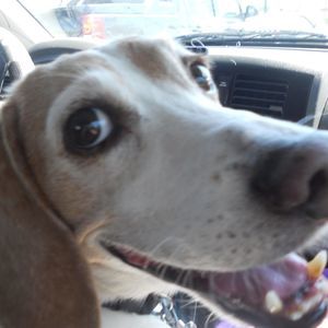 Meet your Posher, Tracy